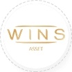 Wins Asset